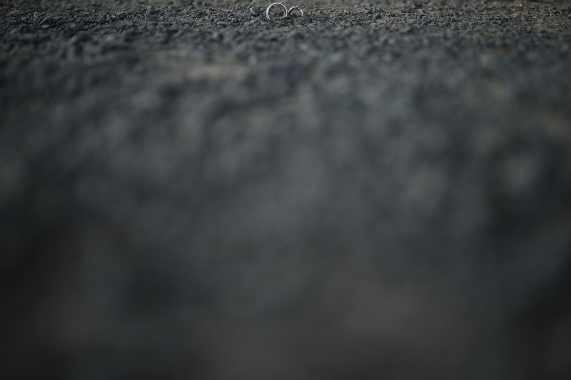 Picton Wedding Photographer - abc09