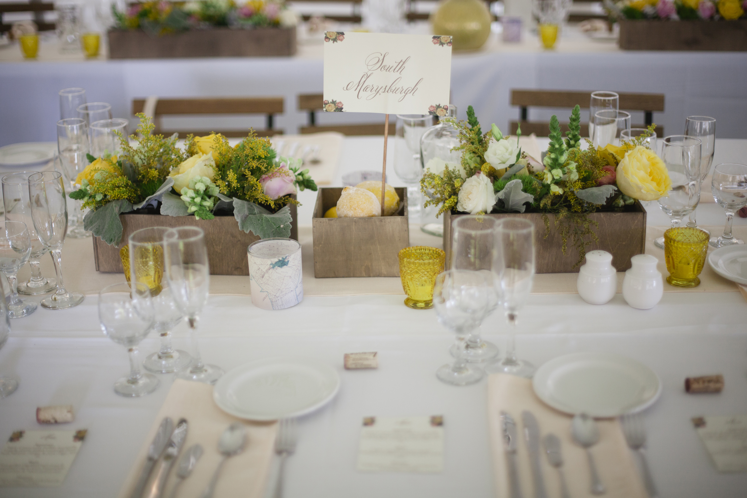 prince edward county wedding photographer - abc024