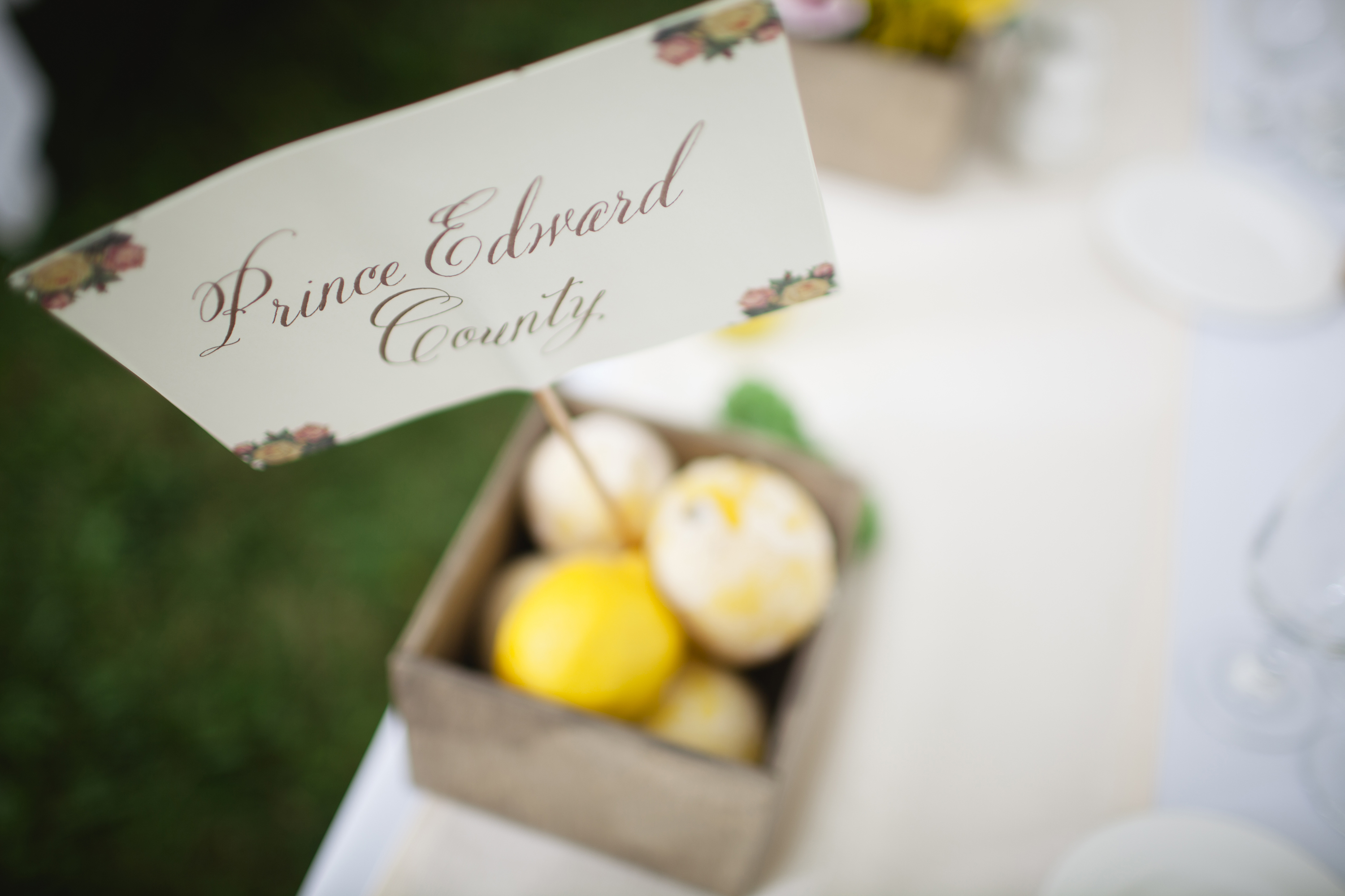prince edward county wedding photographer - abc025