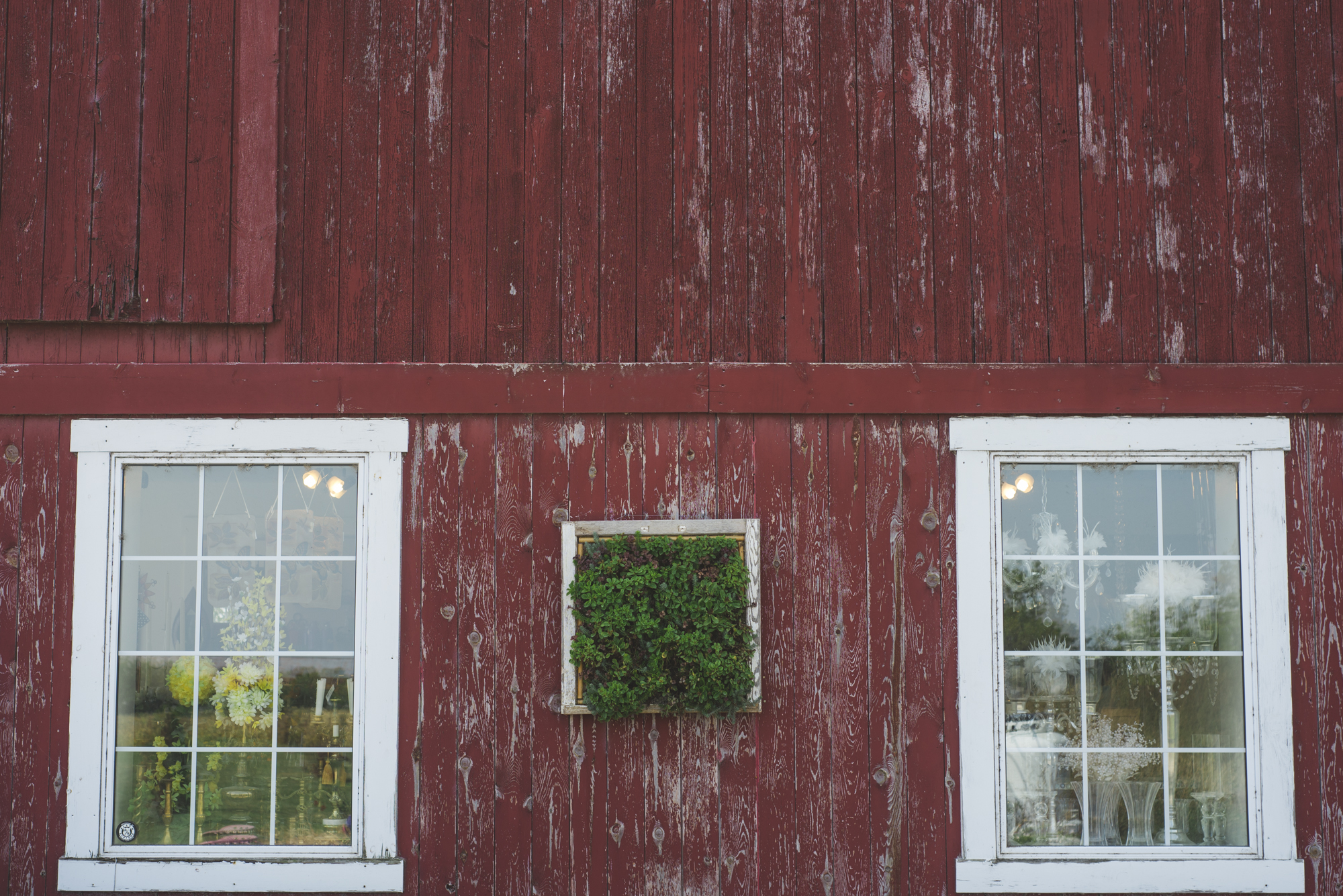 Fields on Westlake Wedding - abc013