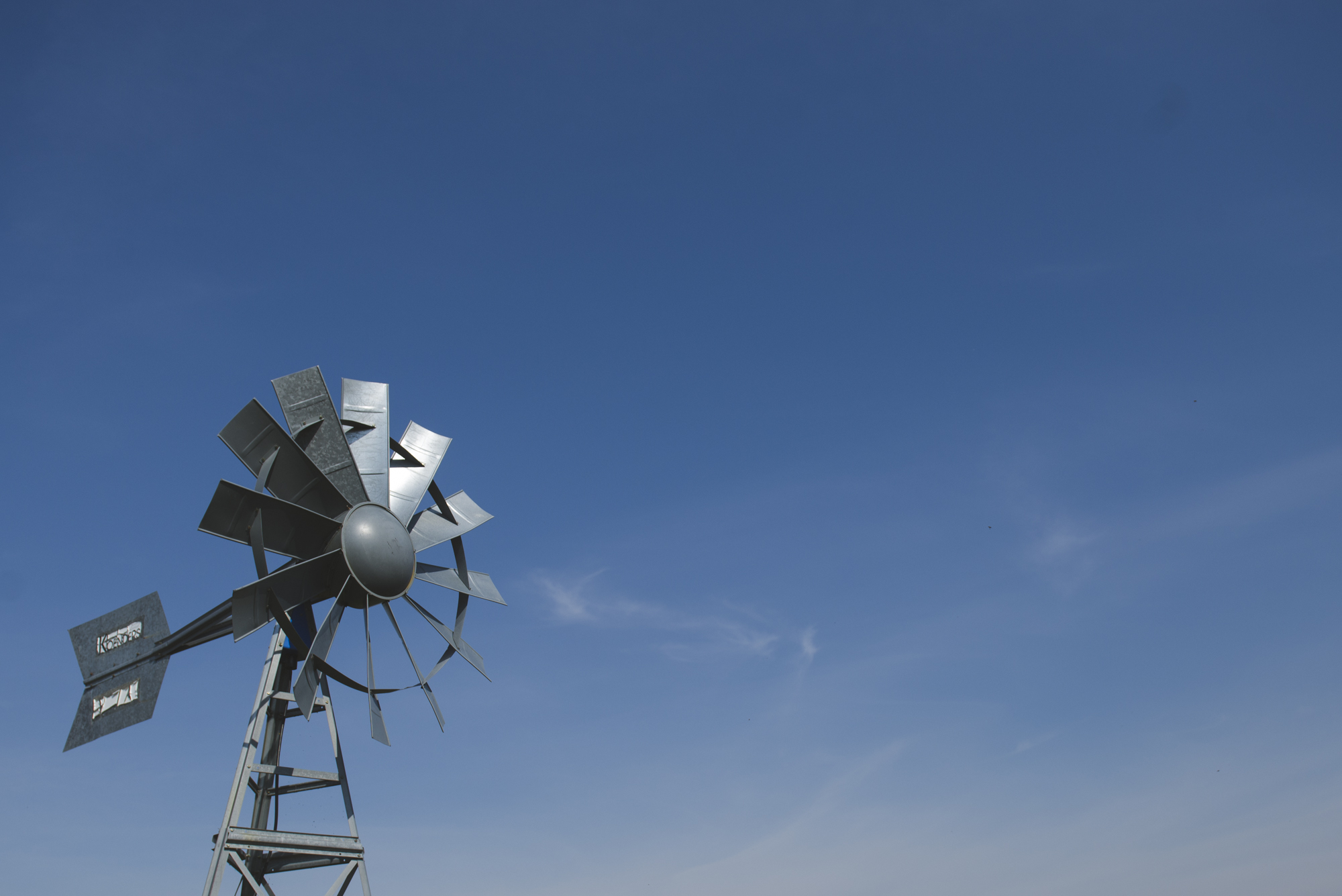 Fields on Westlake Wedding - abc018