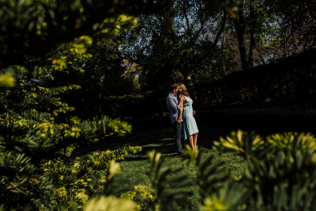High Park Engagement Photos - abc0006