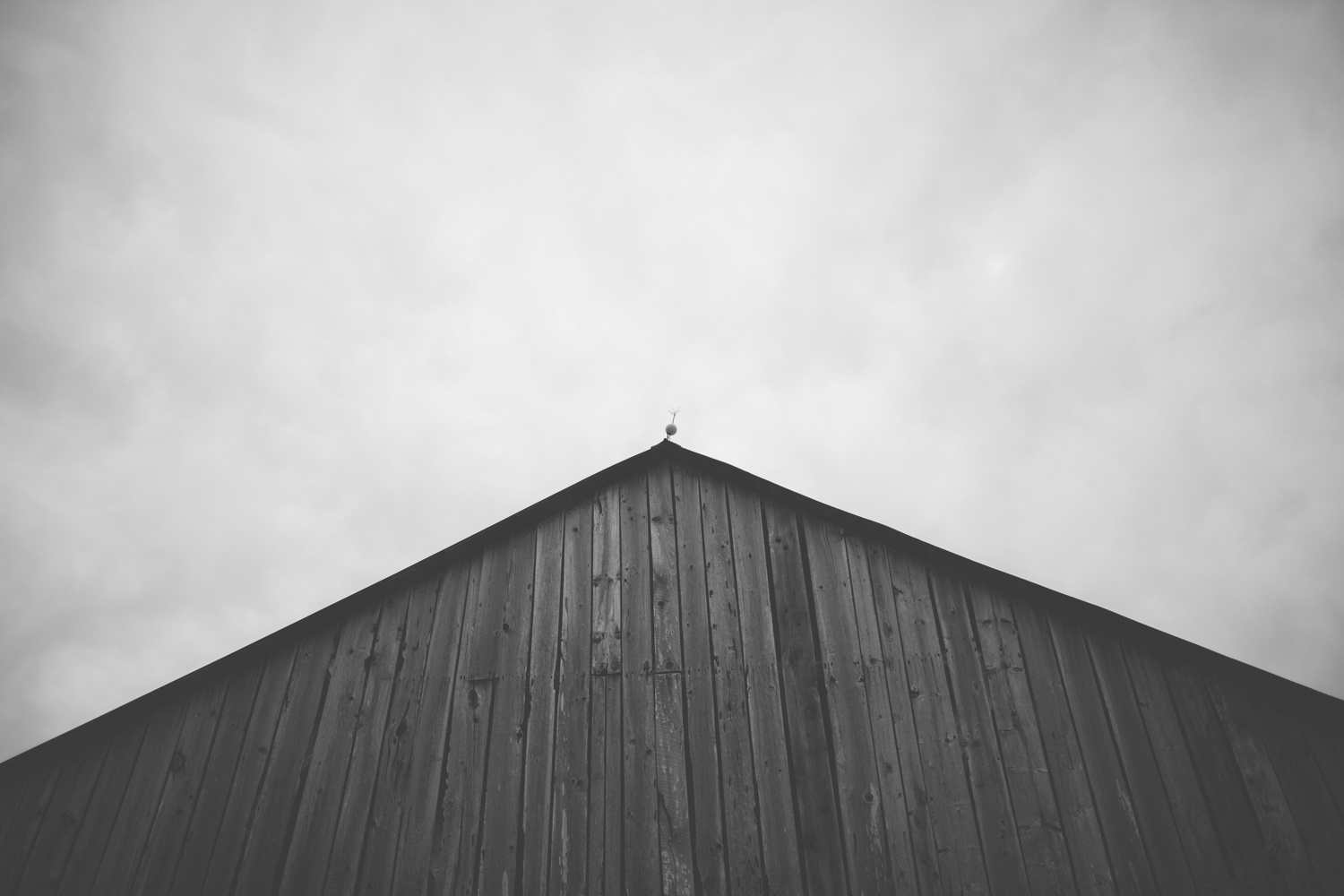 Ecotay Farm Perth Wedding - abc002