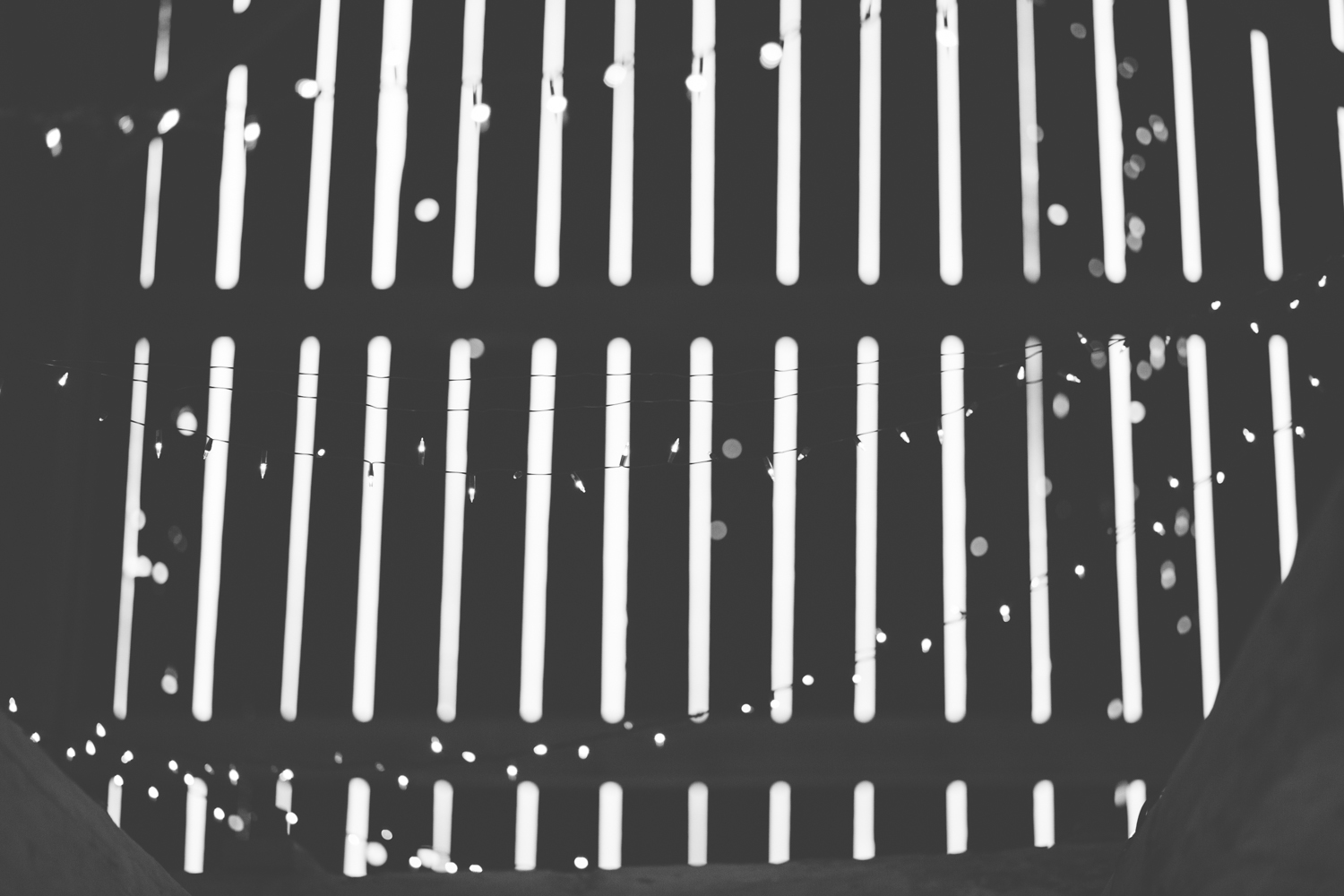 Ecotay Farm Perth Wedding - abc007