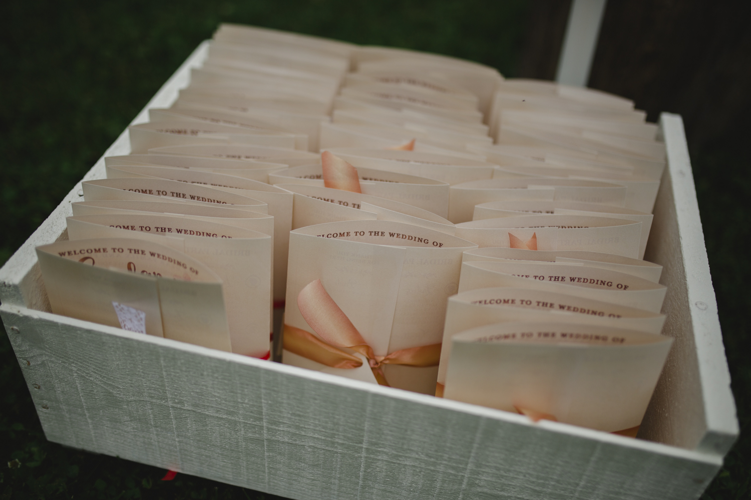 Ecotay Farm Perth Wedding - abc049