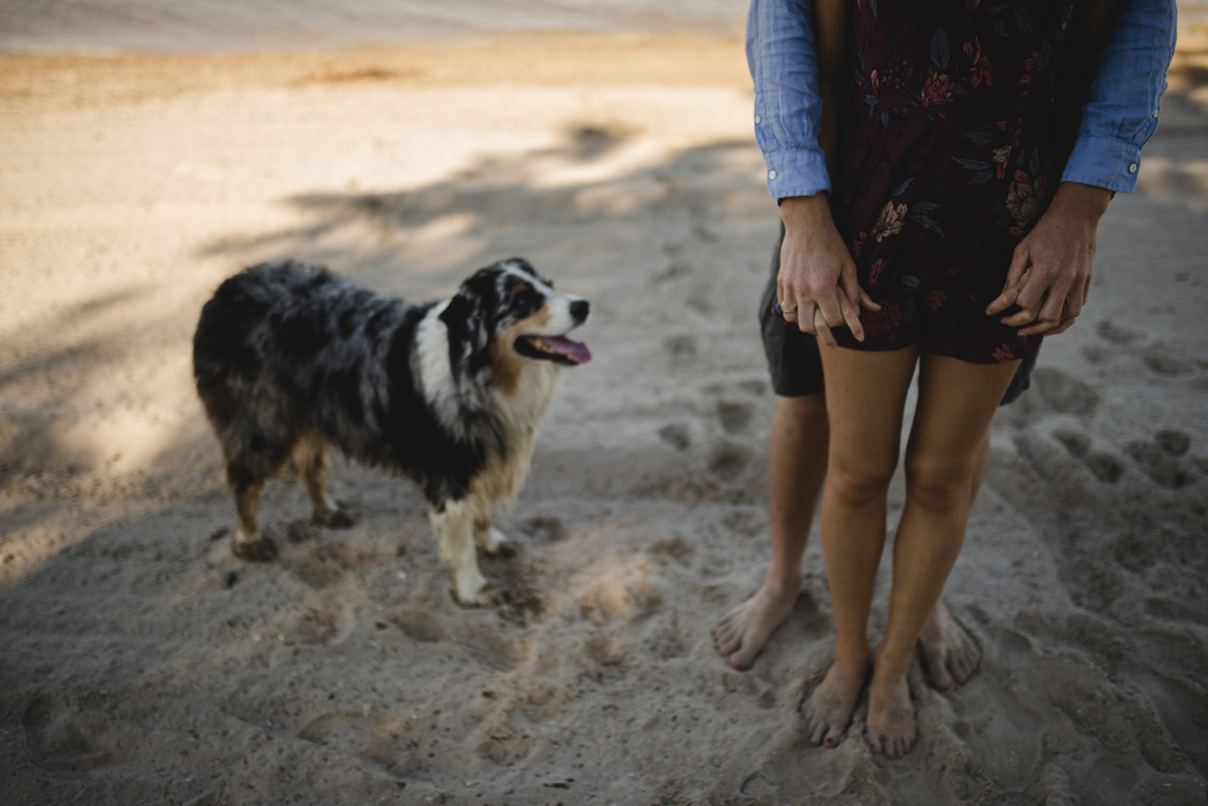Prince Edward County Engagement Photos - ABC007