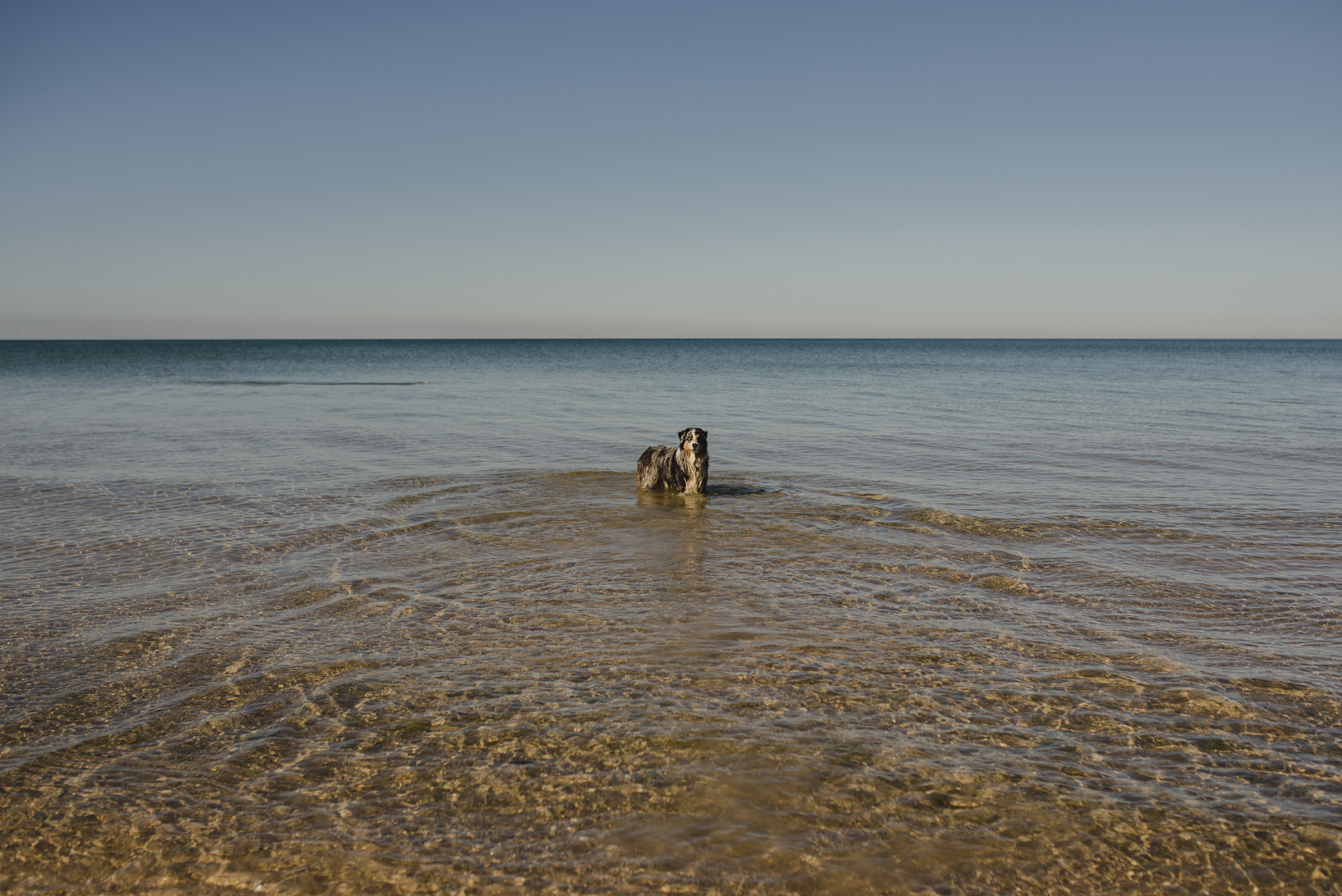 Prince Edward County Engagement Photos - ABC013