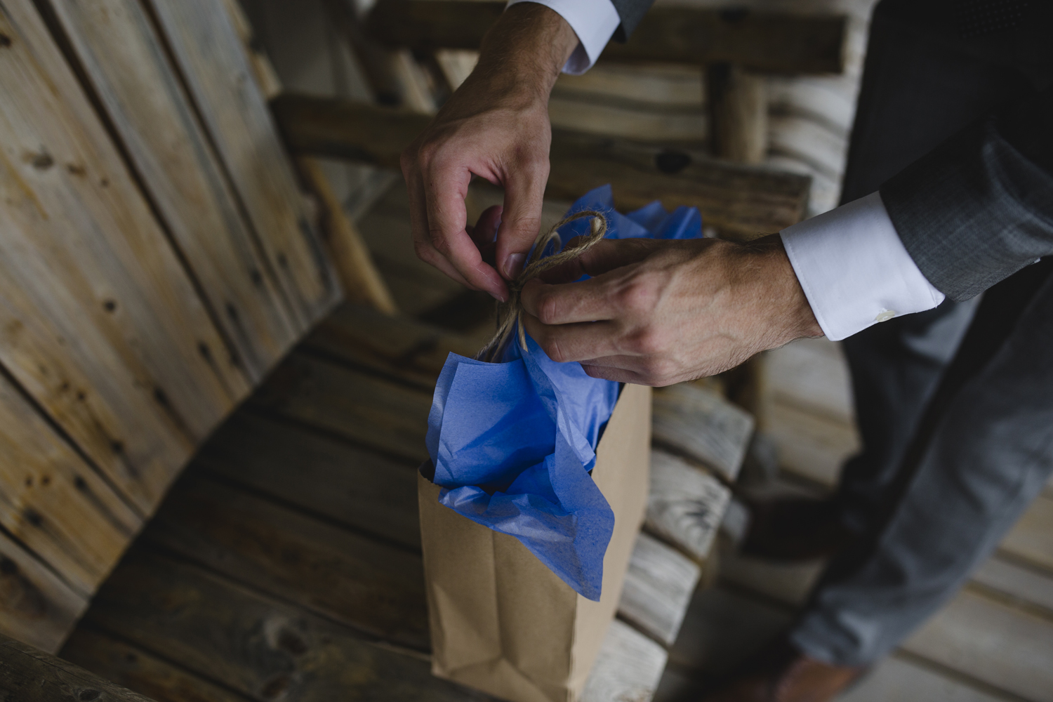 Crystal Palace Wedding