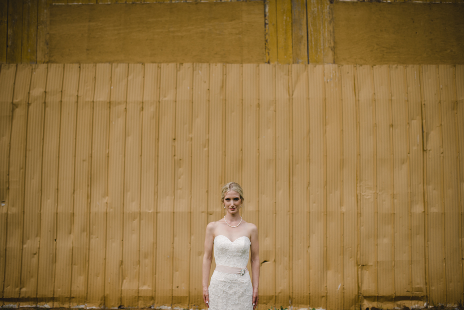 Crystal Palace wedding Picton