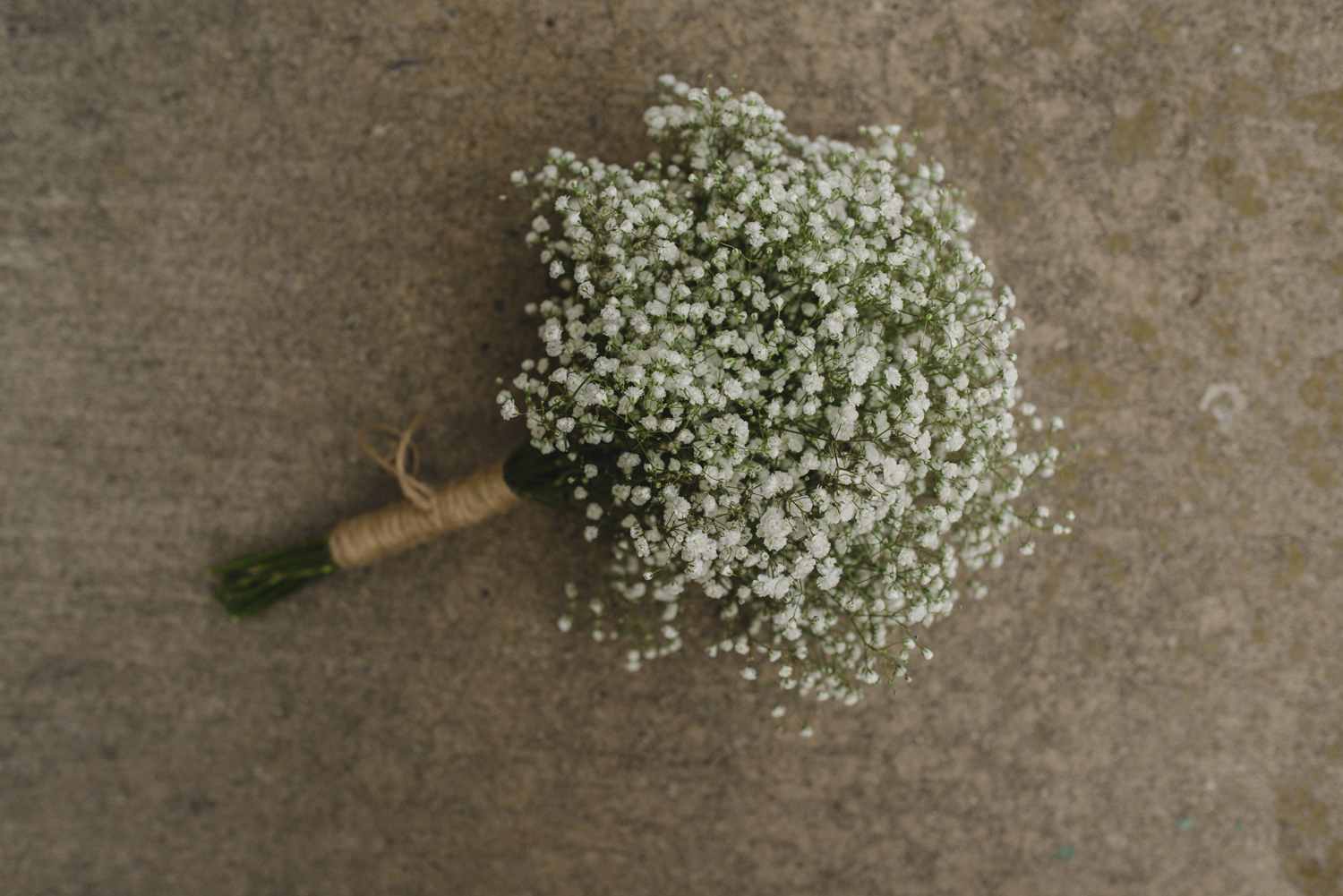 Crystal Palace wedding Picton