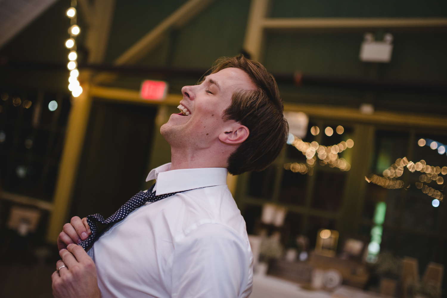 Crystal Palace wedding Picton