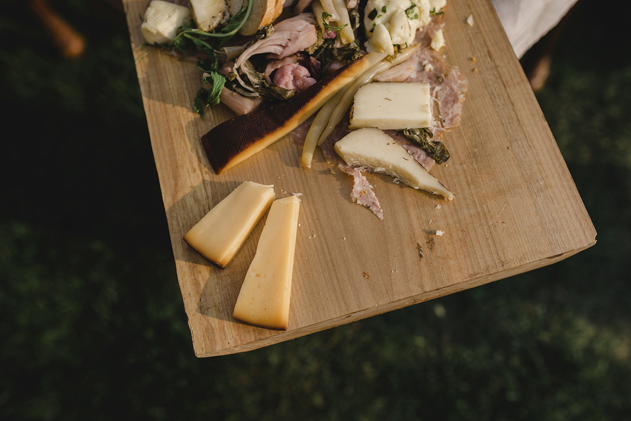 Prince Edward County wedding photographer