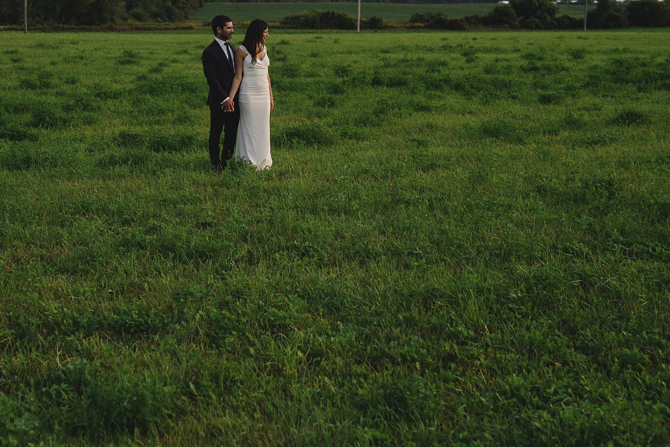 Prince Edward County wedding photographer