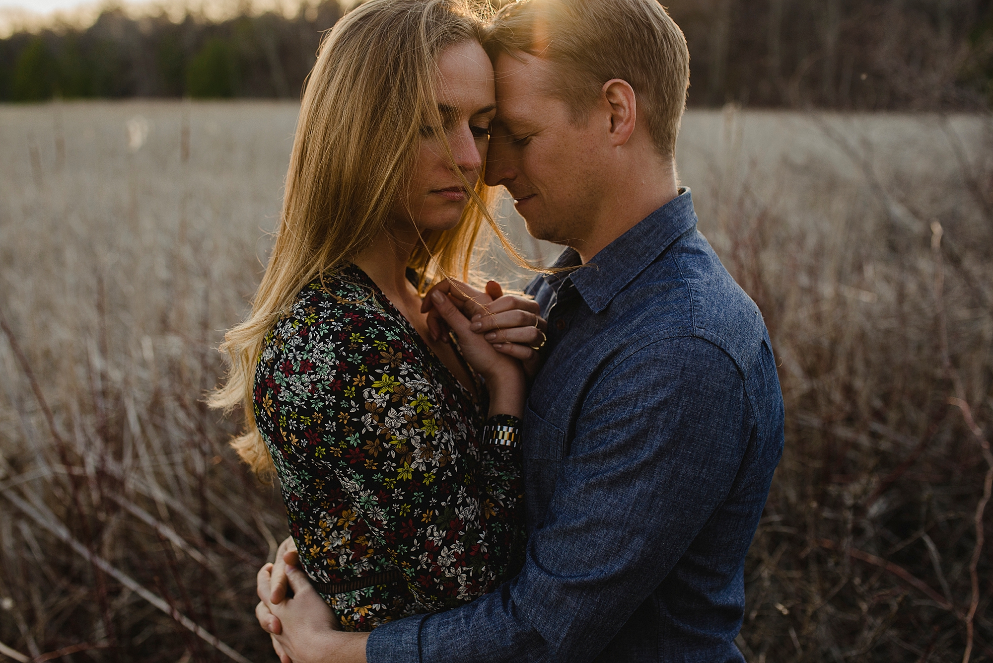 Fields on West Lake Prince Edward County