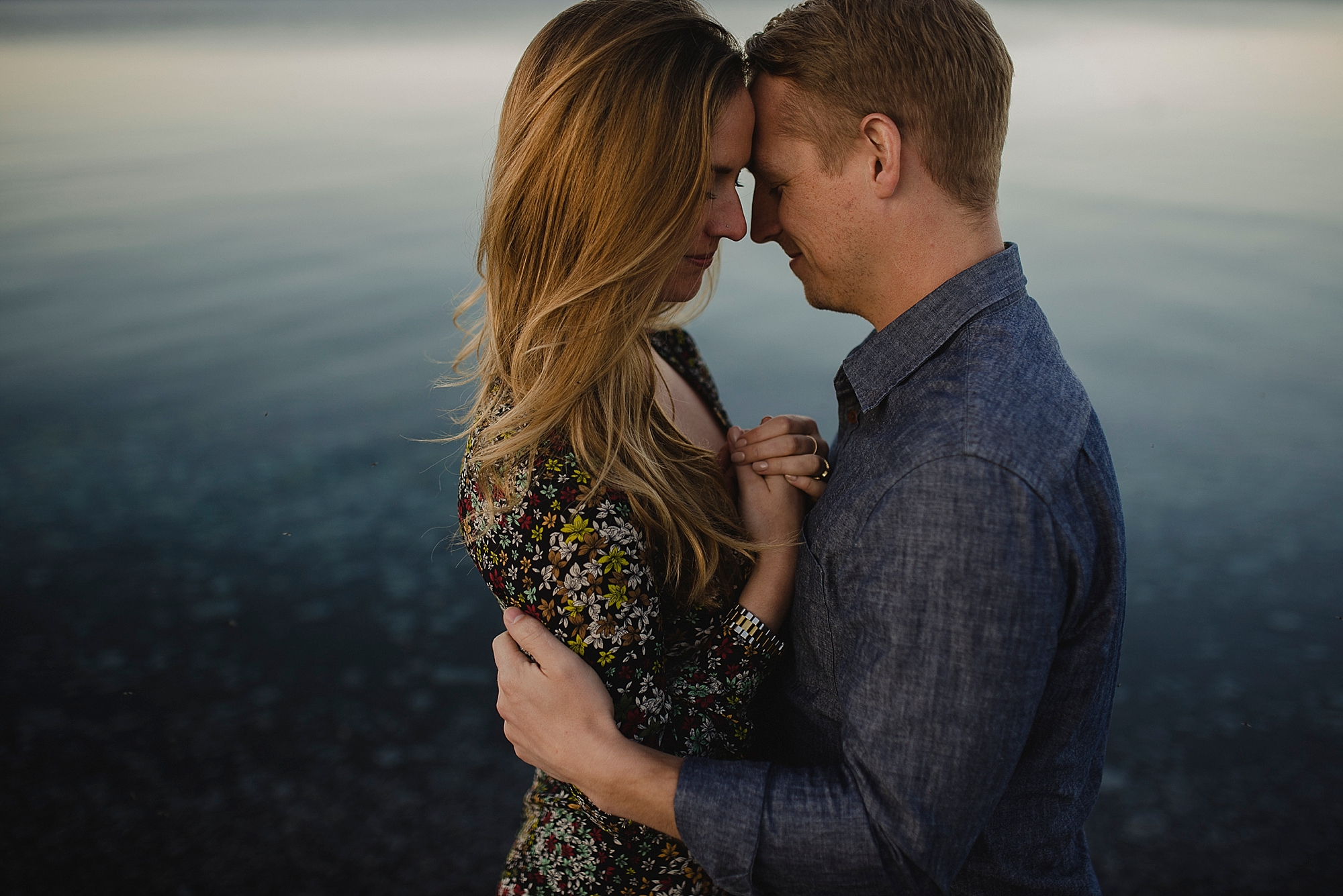 Fields on West Lake Prince Edward County