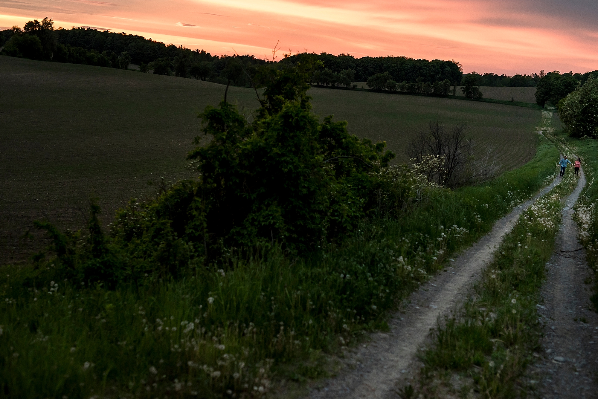 Prince Edward County Engagement Photos