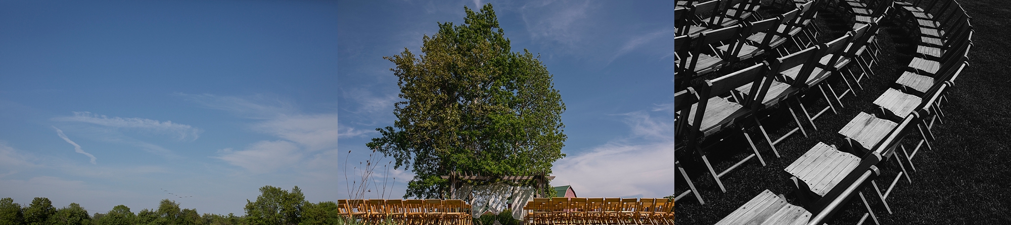 Fields on West Lake wedding