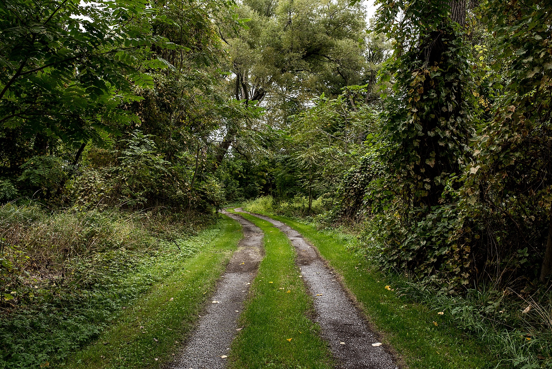 prince-edward-county-elopement-abc001