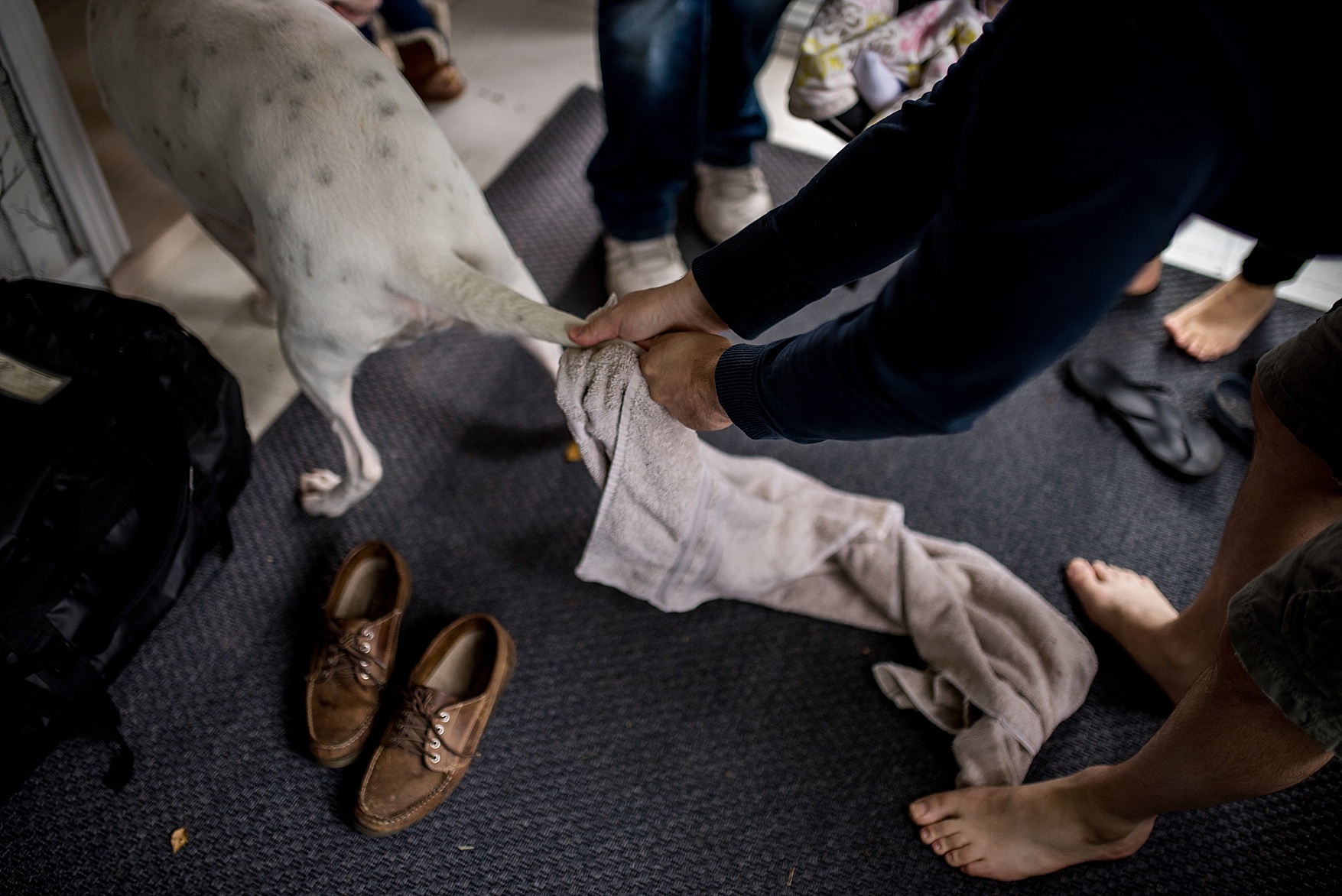 prince-edward-county-elopement-abc008