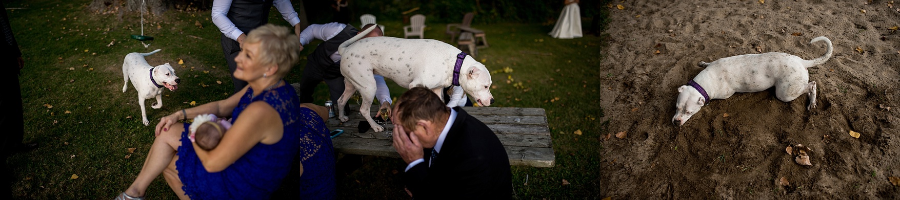 Elopement Prince Edward County
