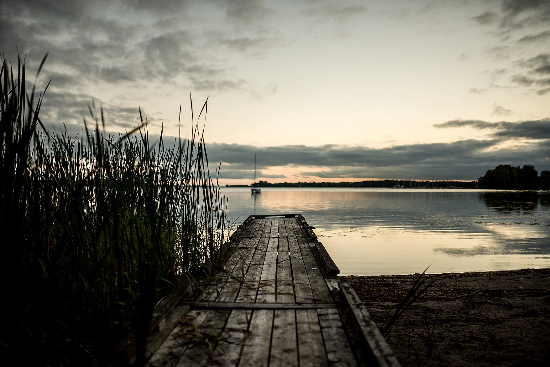 Prince Edward County wedding photographer