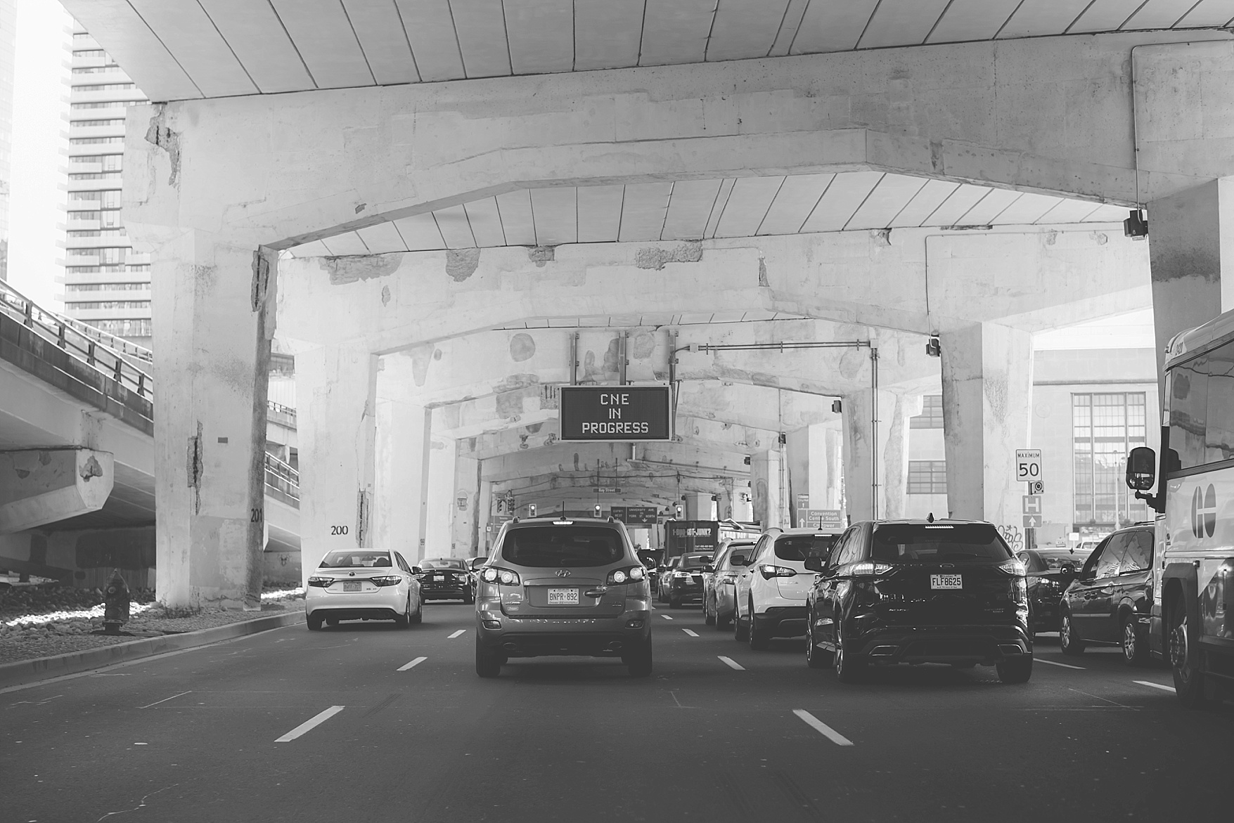 Prince Edward County wedding photographer