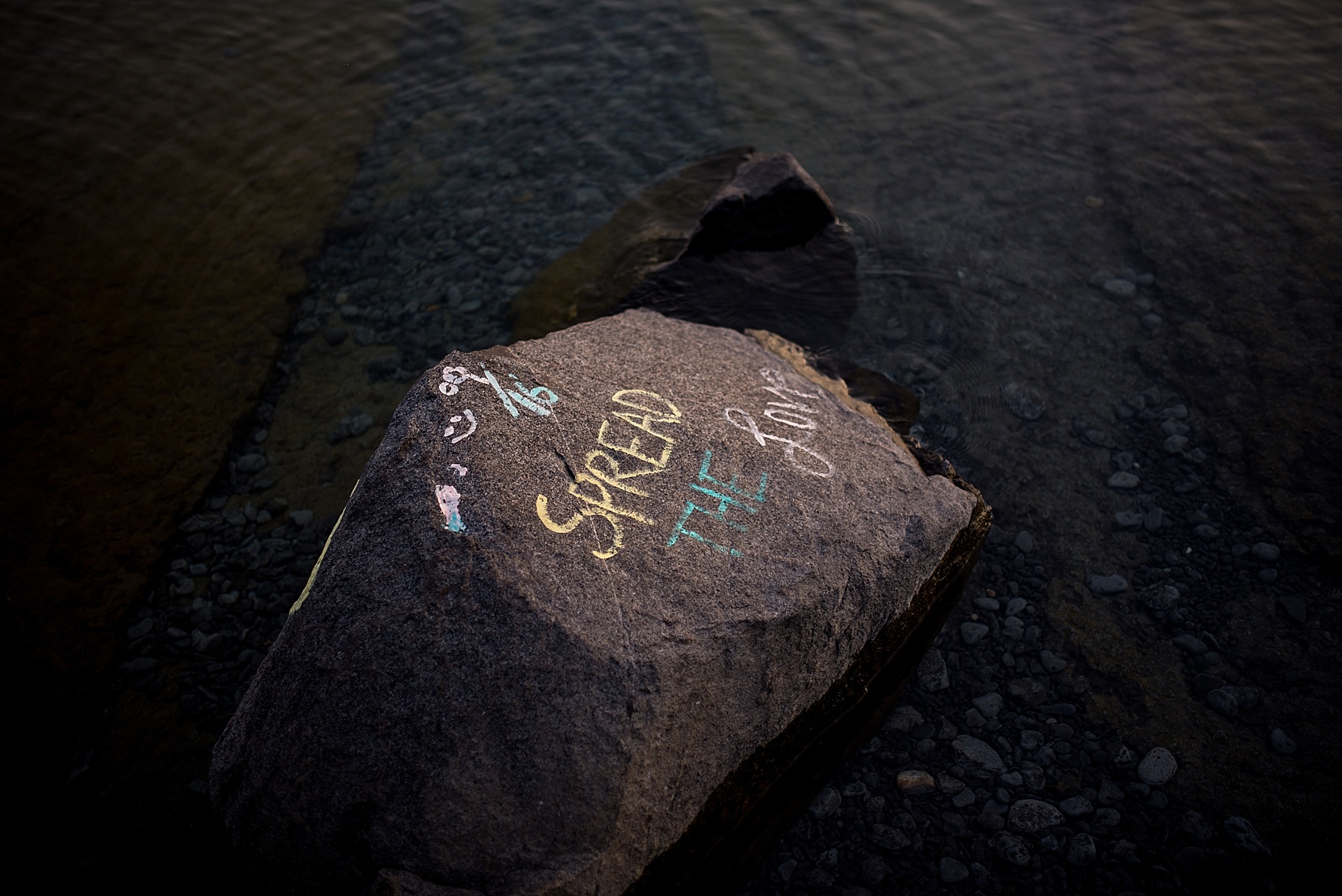 Prince Edward County wedding photographer