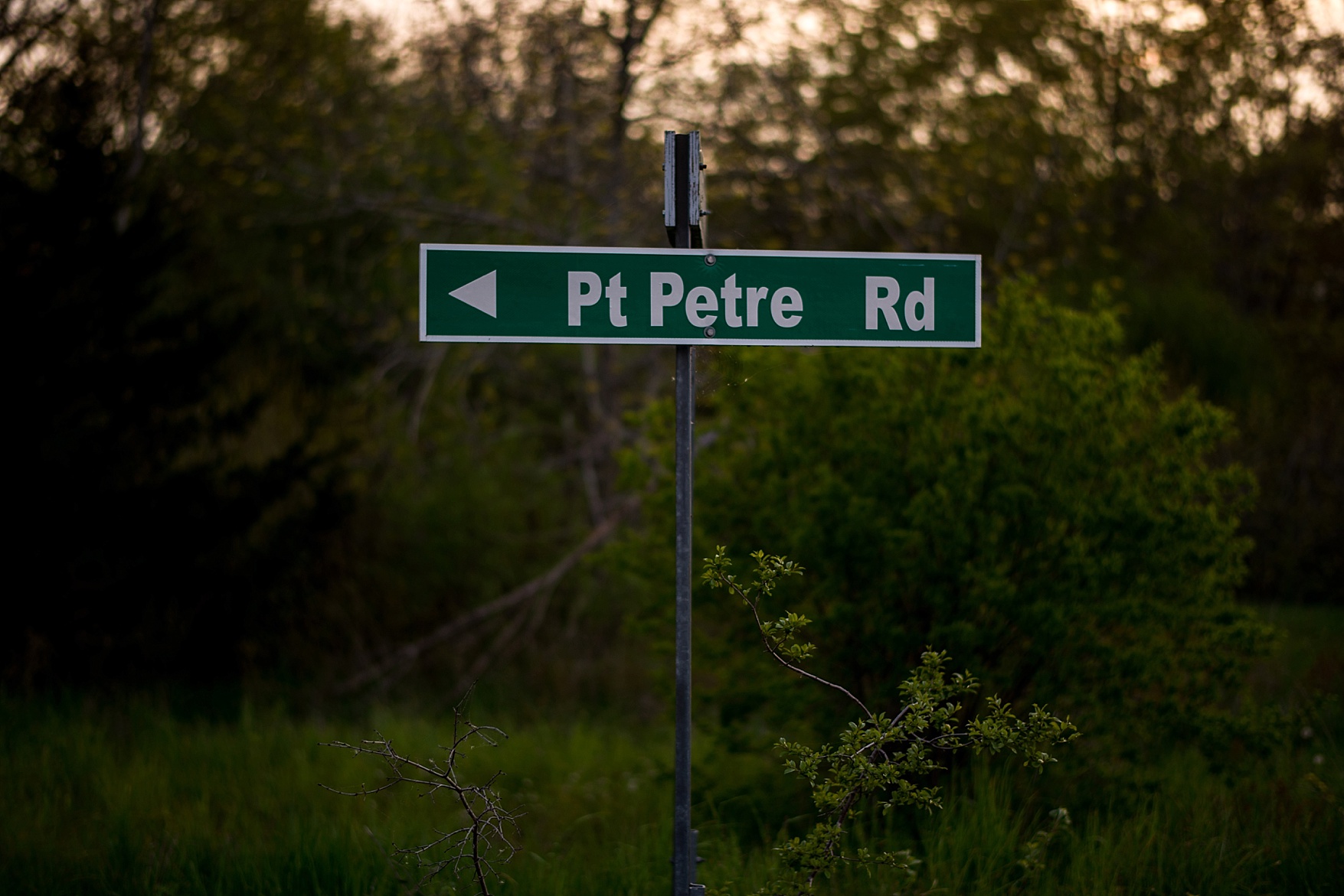 Prince Edward County wedding photographer