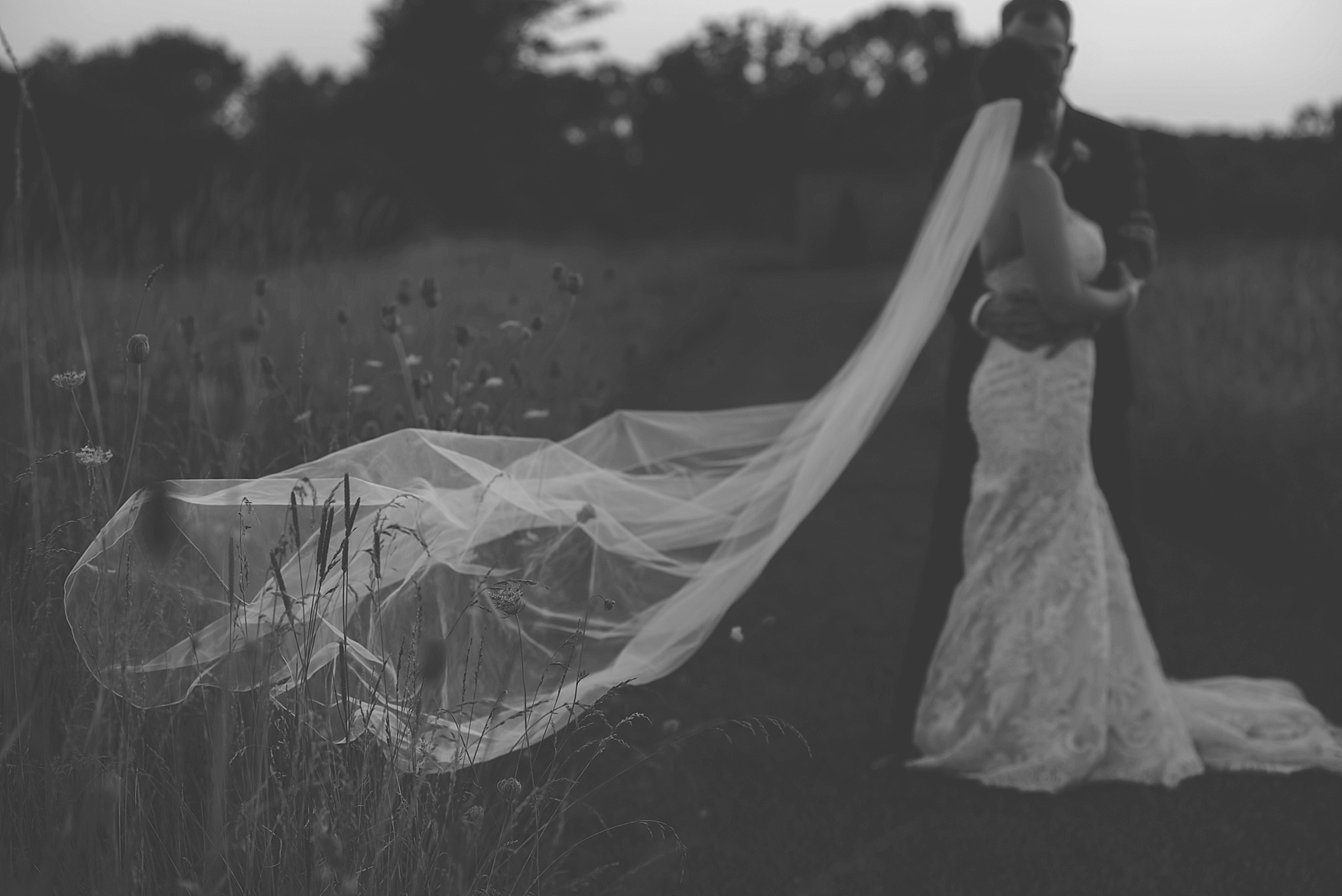 Prince Edward County wedding photographer