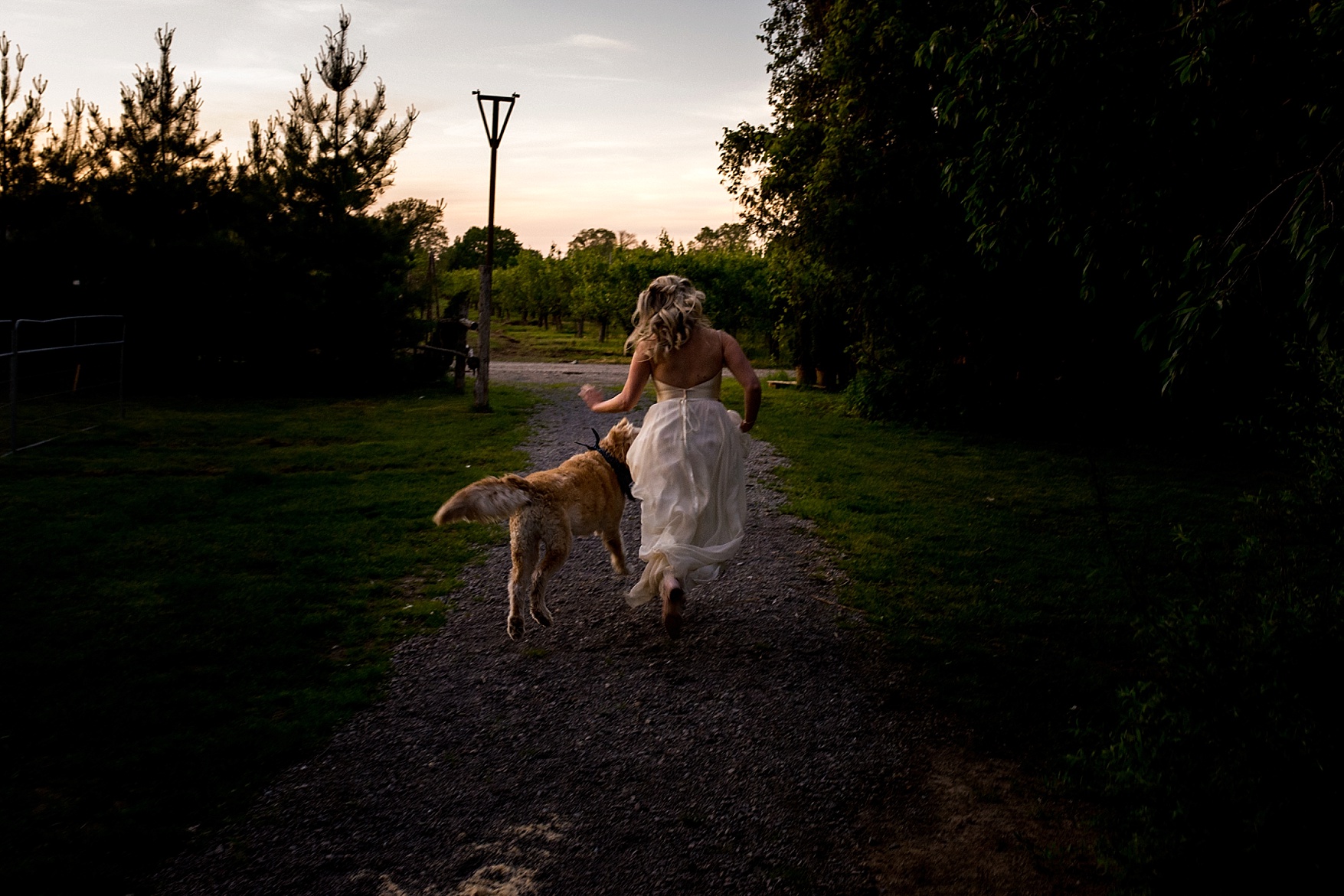 Honsberger Estate wedding