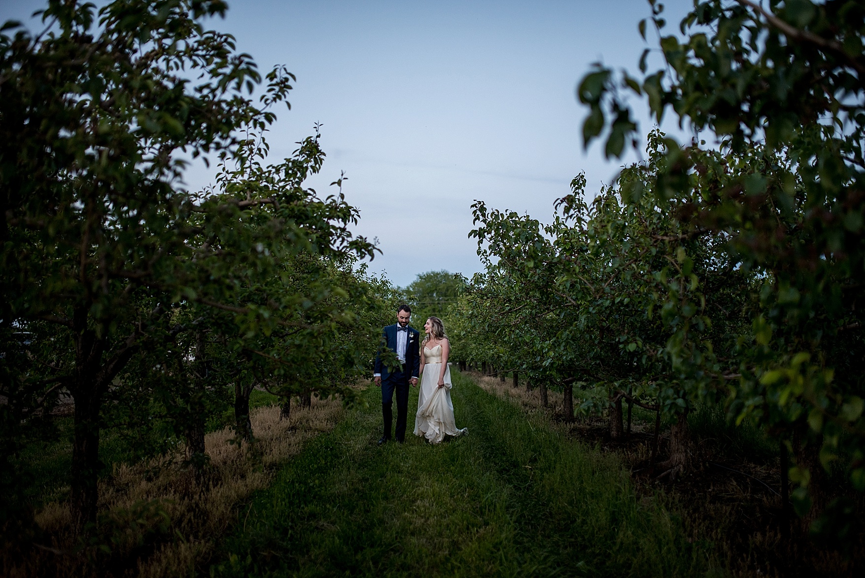 Honsberger Estate wedding