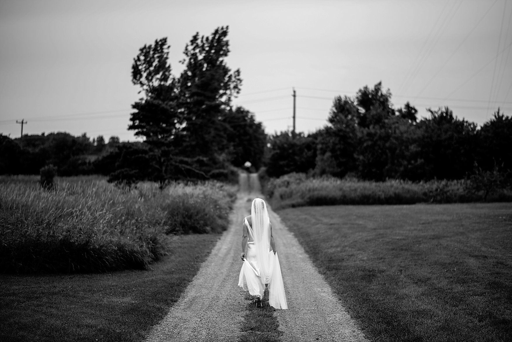 Prince Edward County wedding