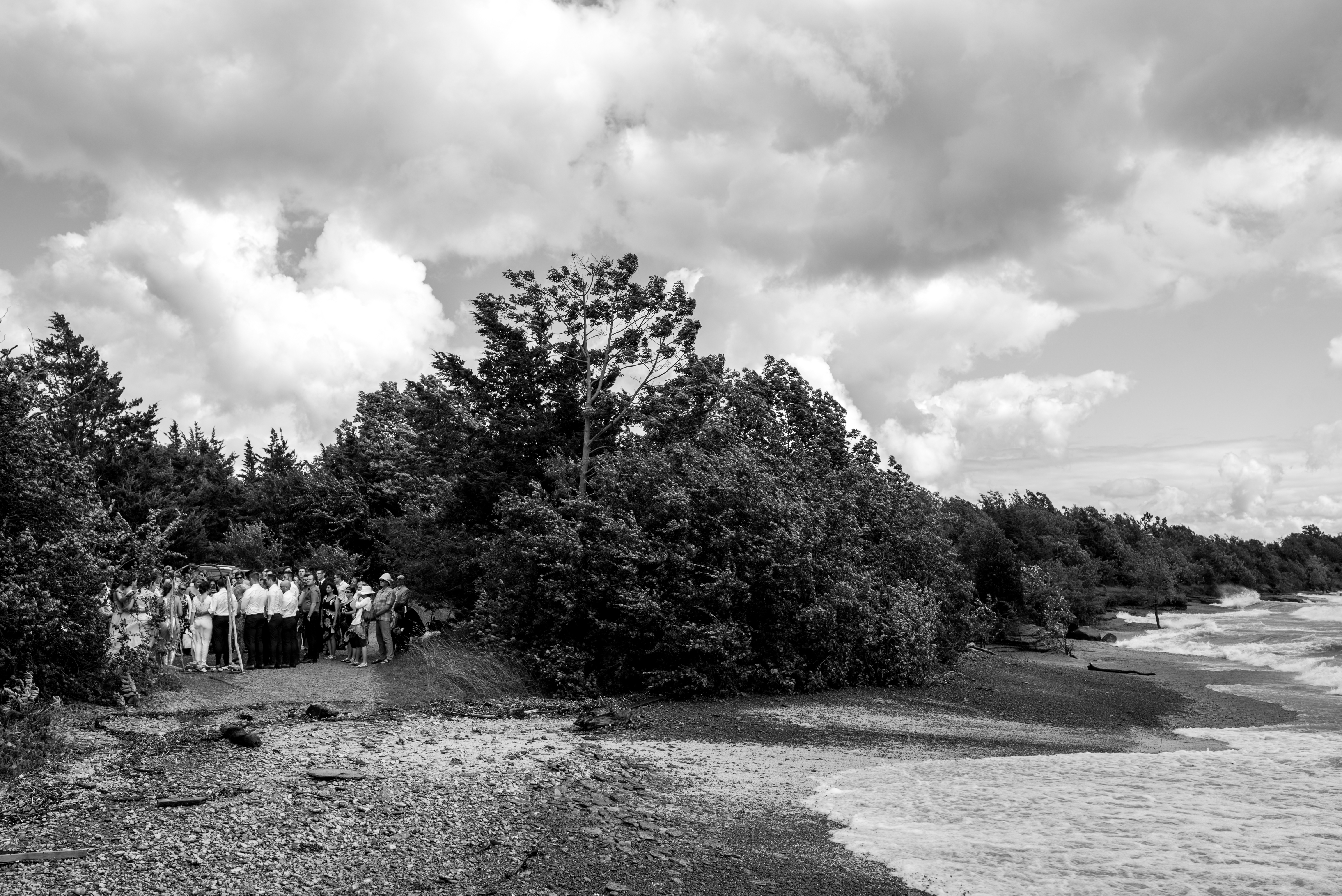 Prince Edward County wedding