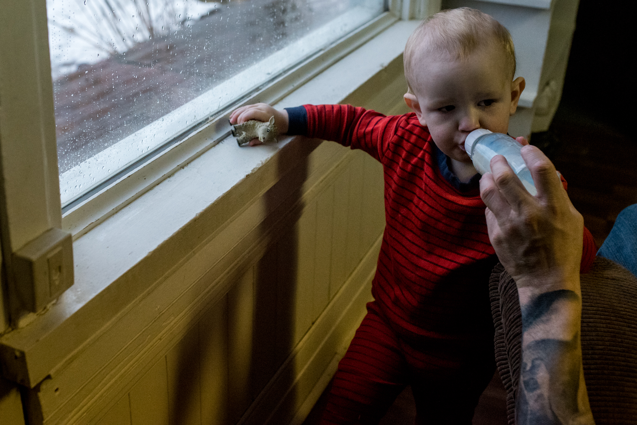 Prince Edward County family photography