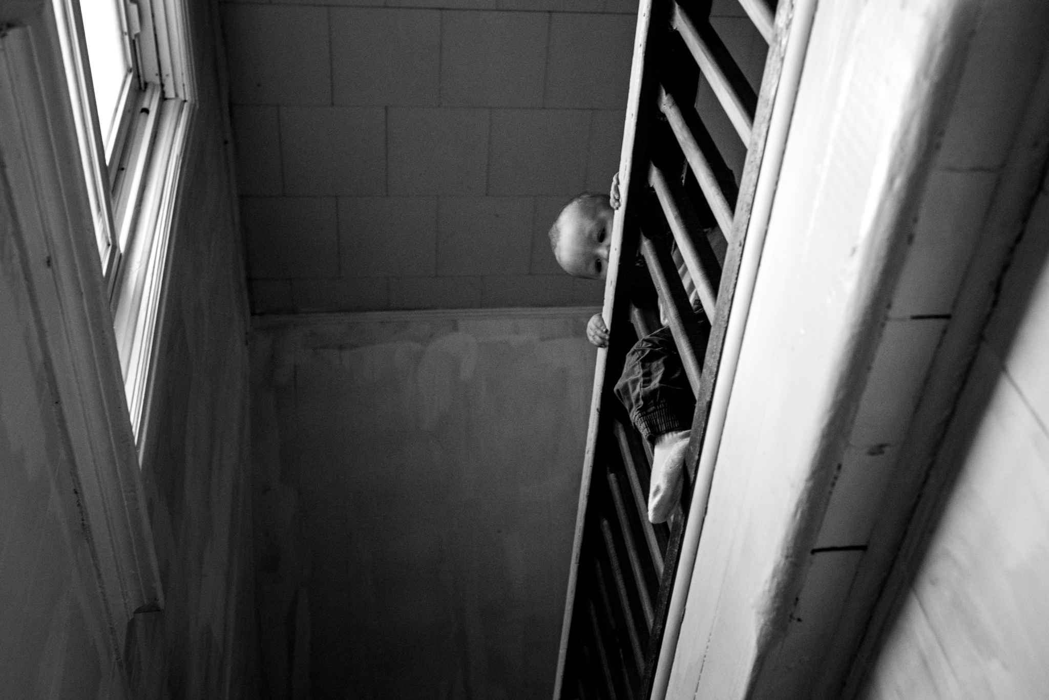 Belleville family photographer