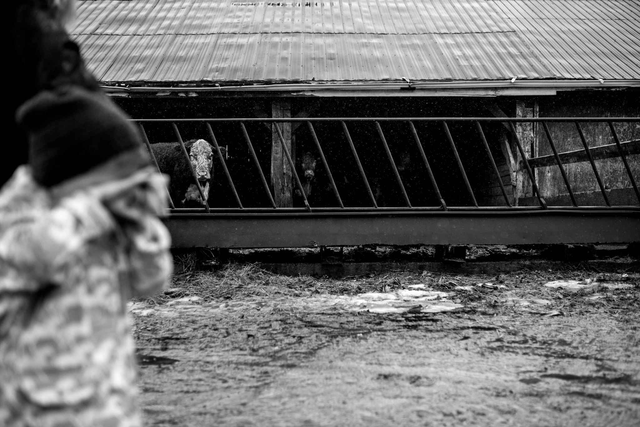 Prince Edward County photographer