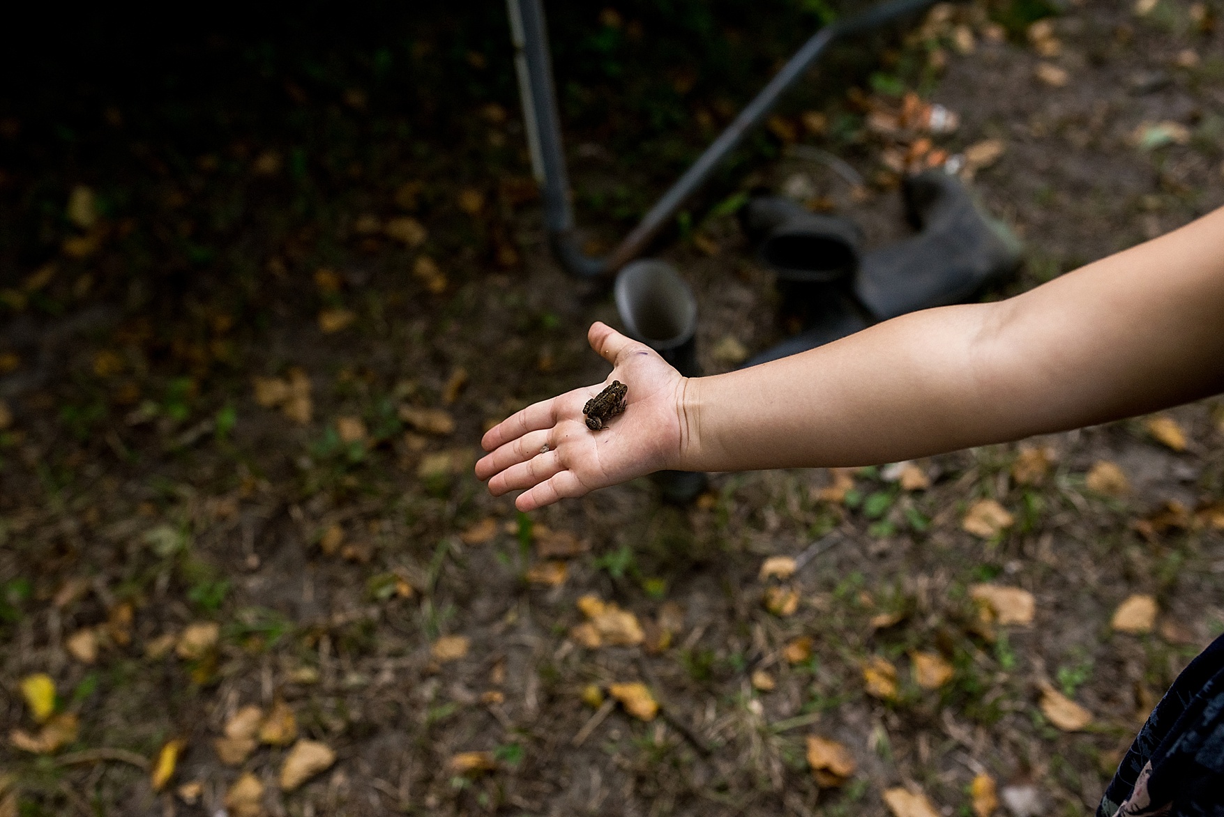 PRINCE EDWARD COUNTY FAMILY PHOTOGRAPHER