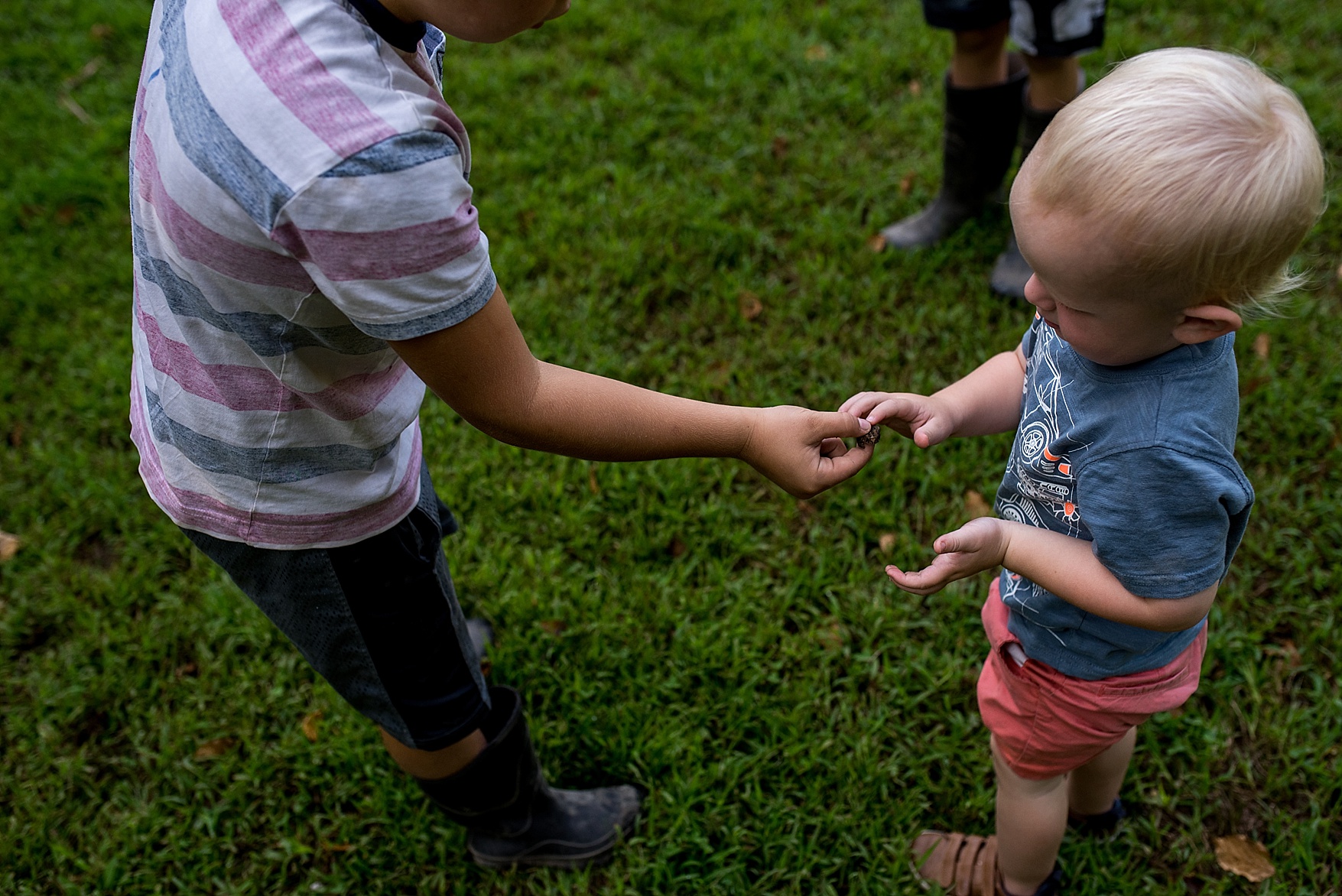PRINCE EDWARD COUNTY FAMILY PHOTOGRAPHER