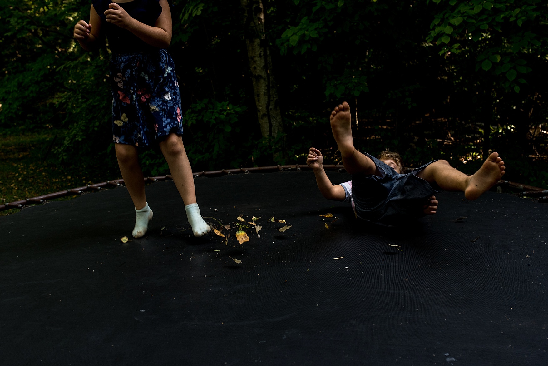 PRINCE EDWARD COUNTY FAMILY PHOTOGRAPHER