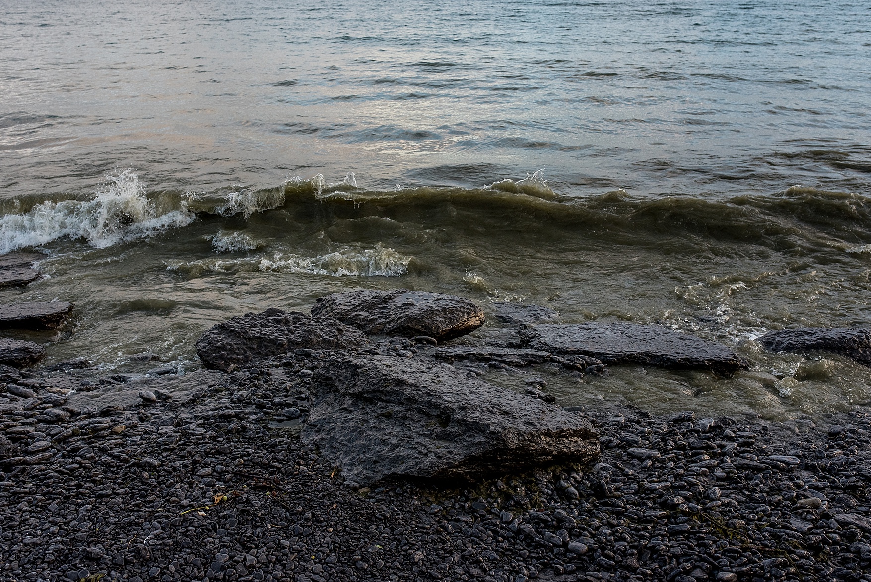 Prince Edward County wedding photographer