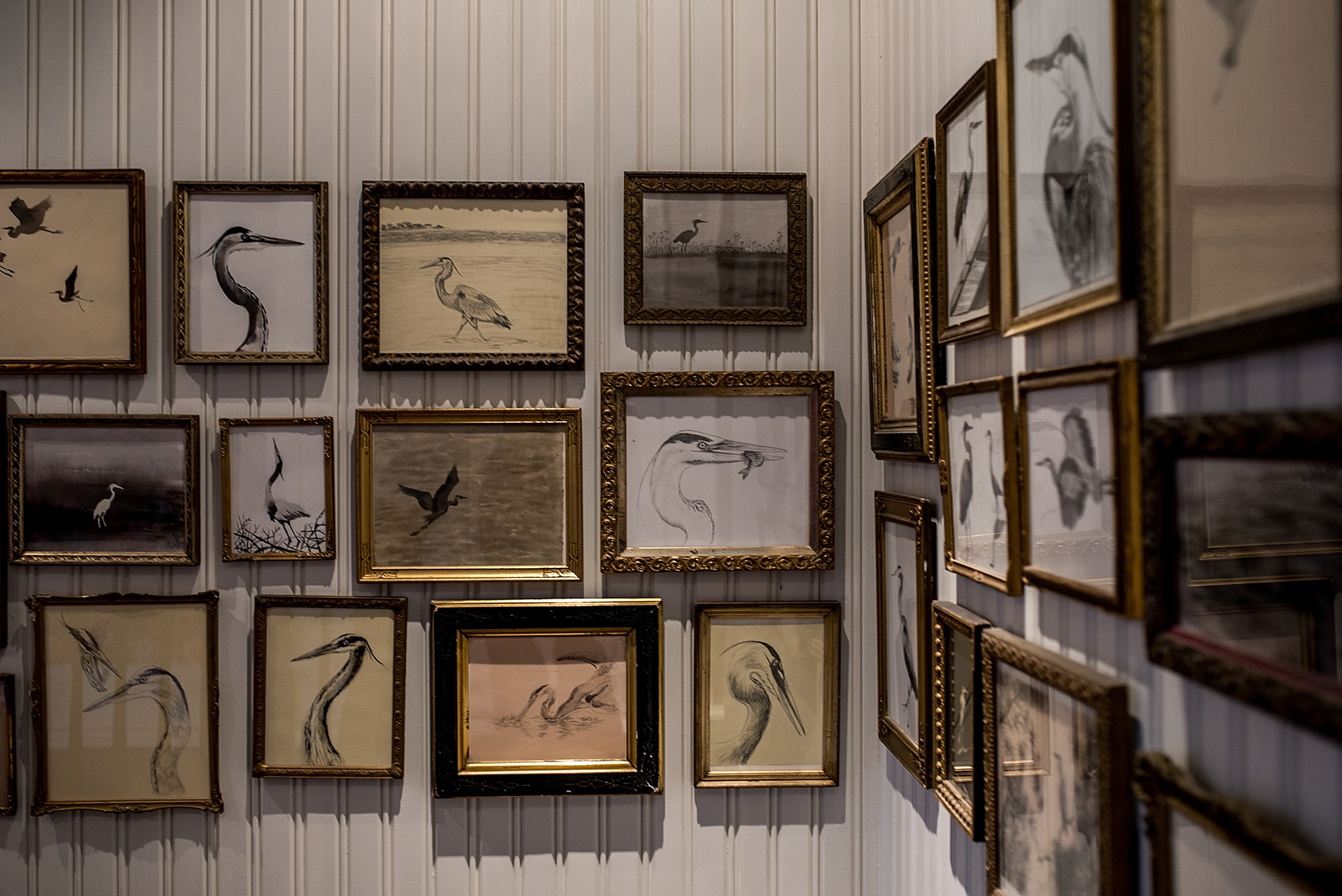 Prince Edward County wedding photographer