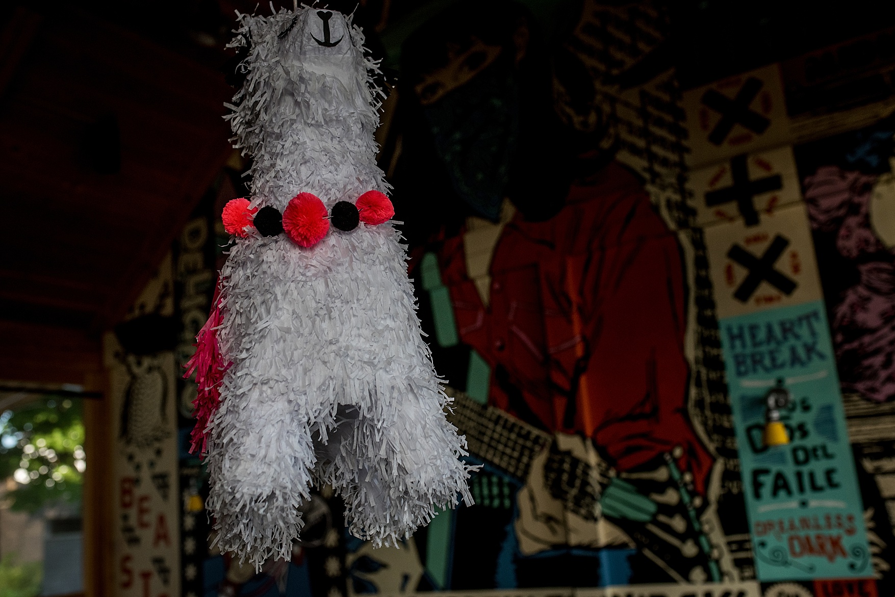 Prince Edward County wedding photographer