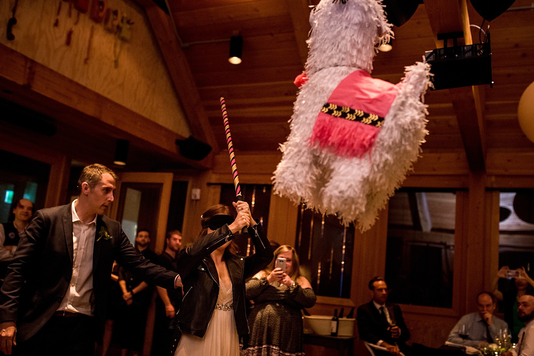 Prince Edward County wedding photographer