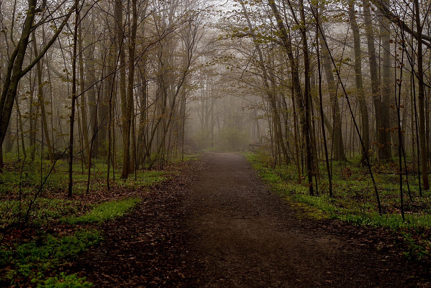 Prince Edward County engagement photos