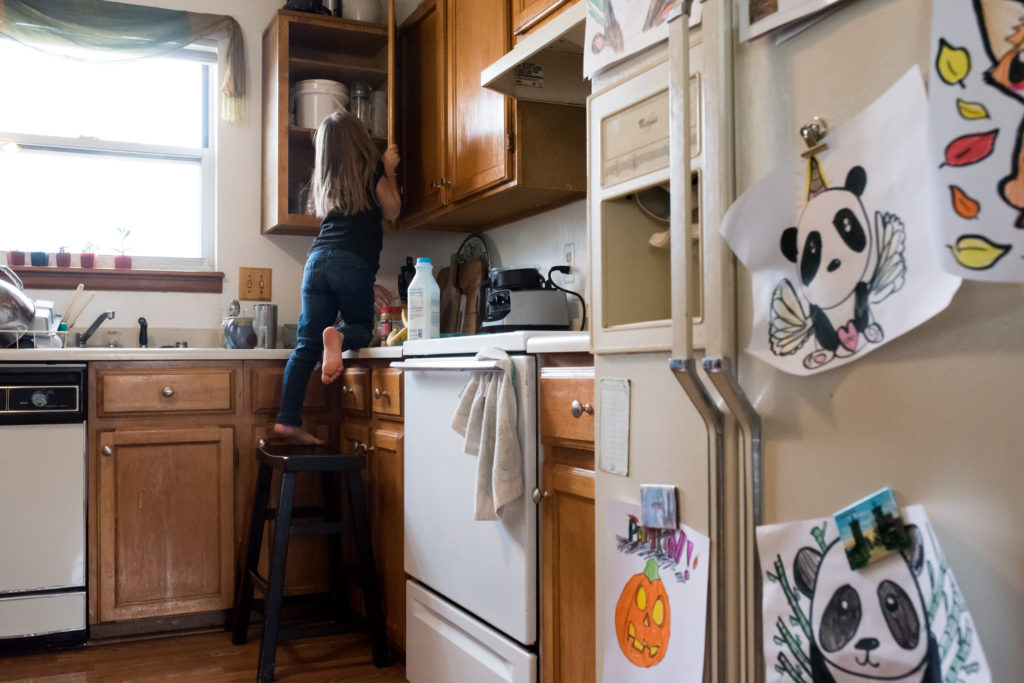 Photographer, Prince Edward County