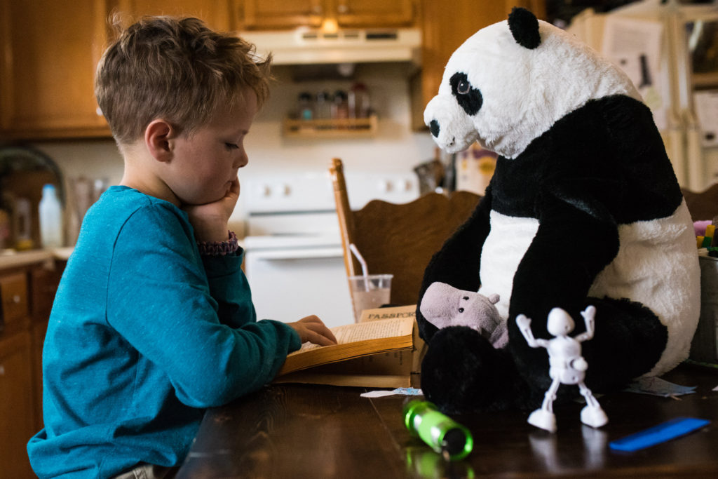 Photographer, Prince Edward County