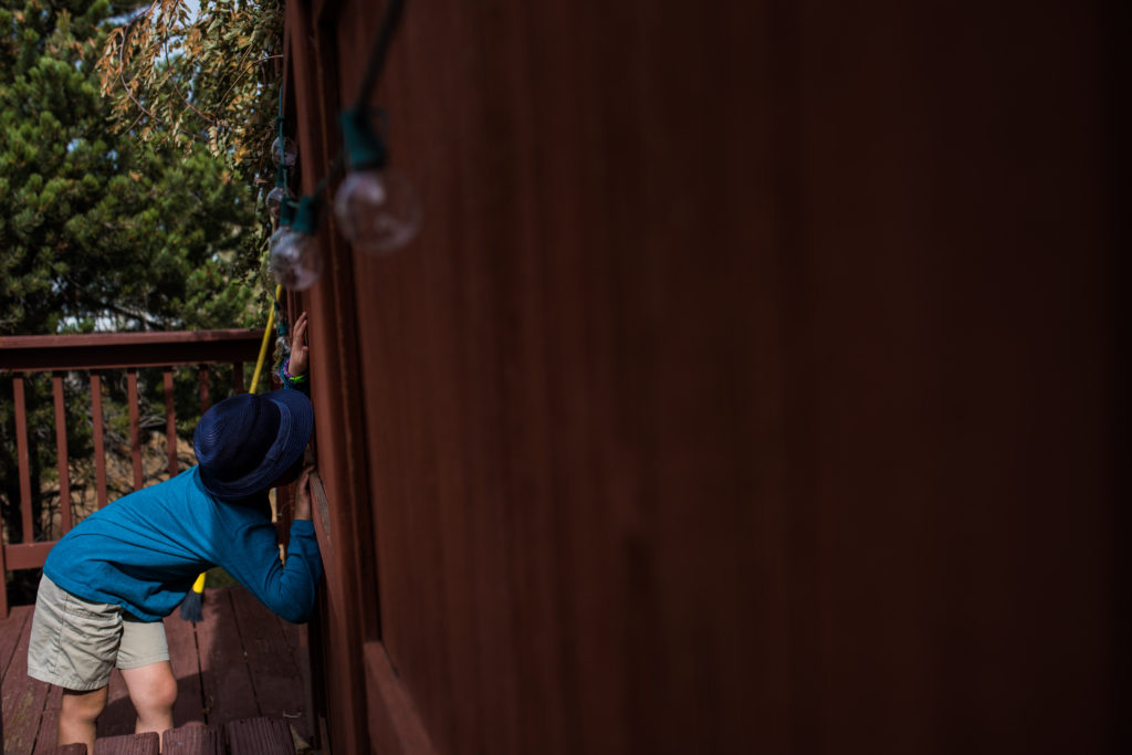 Prince Edward County Photographer