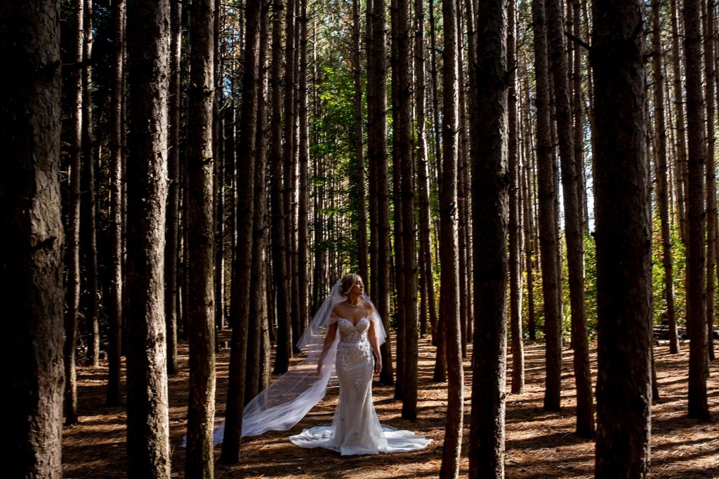 Kortright Centre wedding photography