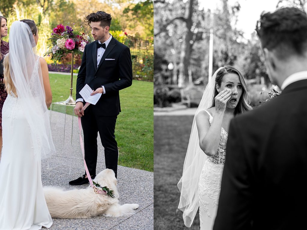 Prince Edward County wedding photographer