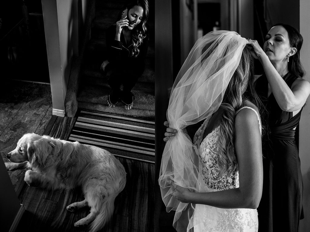 Windsor Ontario Wedding